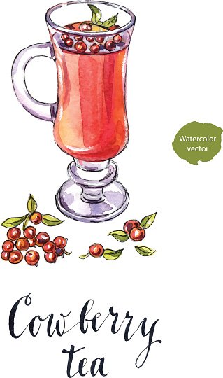 Cowberry tea in a cup with fresh berries Clipart Image.