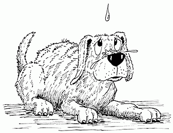 Hank The Cowdog Coloring Page.