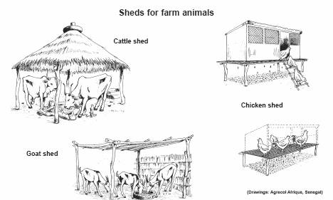 Cowshed clipart 20 free Cliparts Download images on 