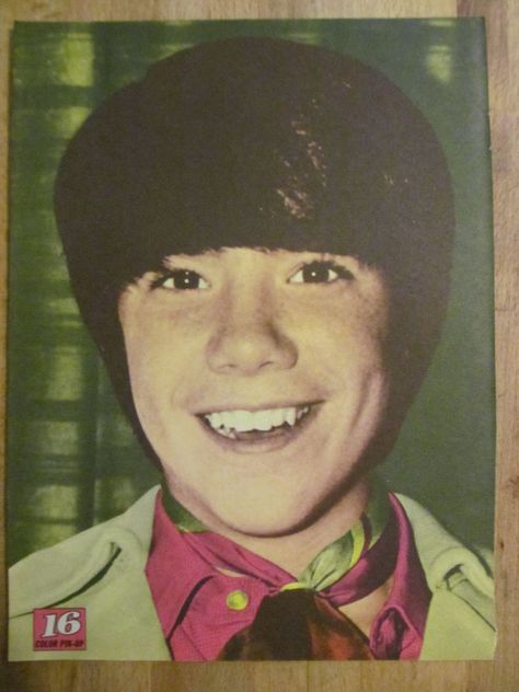 The Cowsills, John Cowsill, Full Page Vintage Pinup.