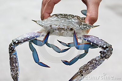 Crab Fisherman Clipart.