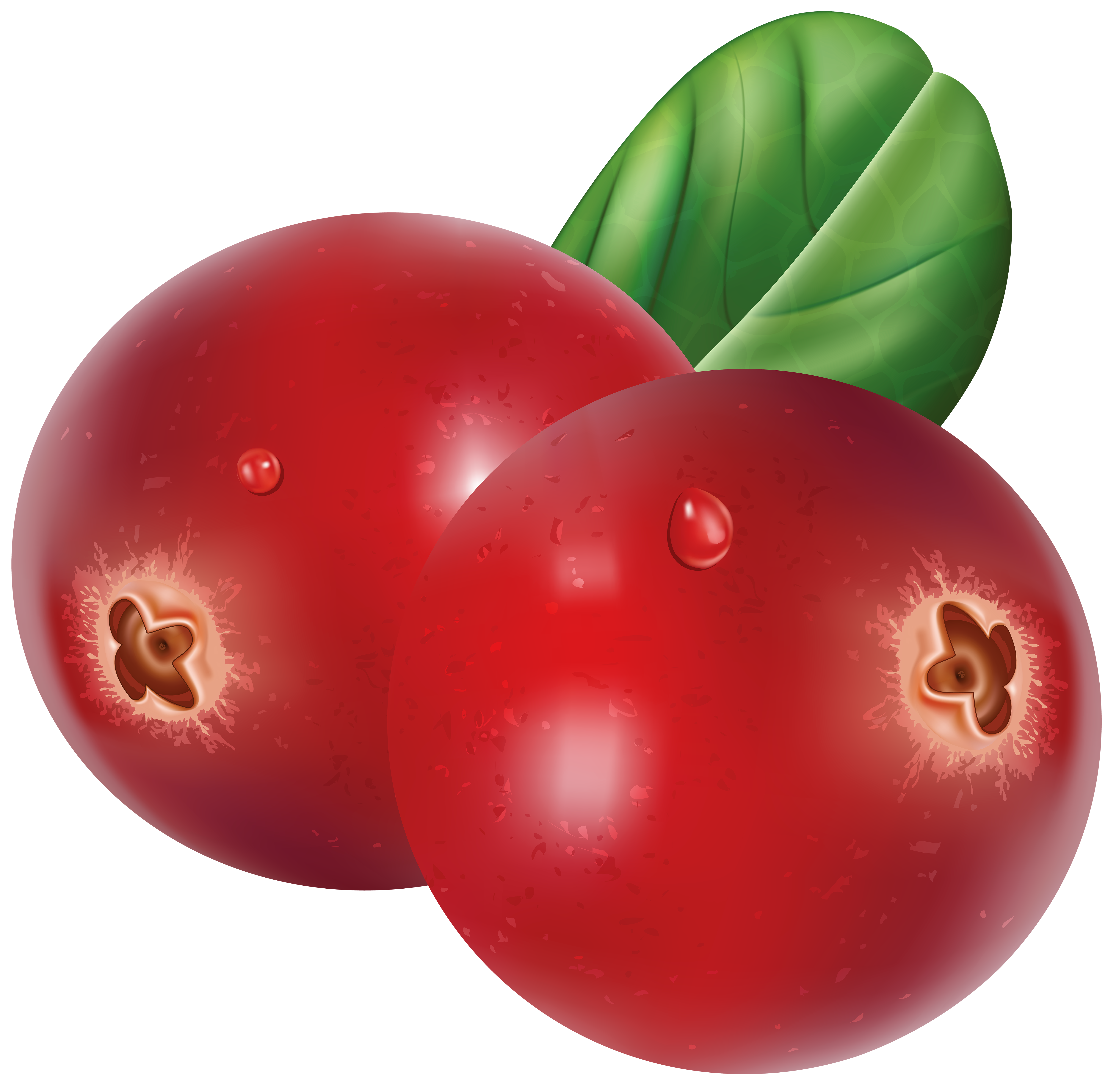 Red Cranberries Transparent PNG Clip Art Image.