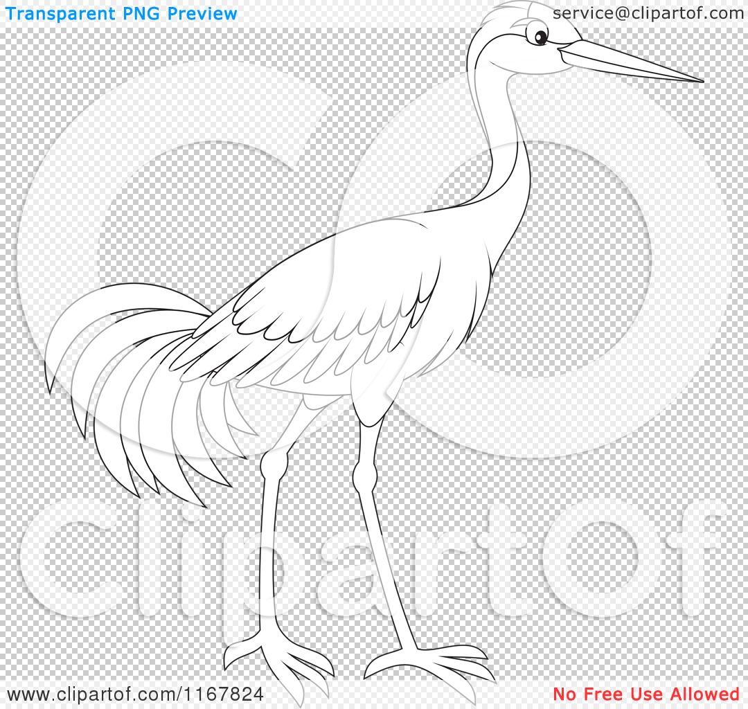 Cartoon of an Outlined Sarus Crane Bird.