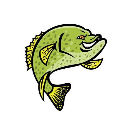 crappie clipart 20 free Cliparts | Download images on Clipground 2024