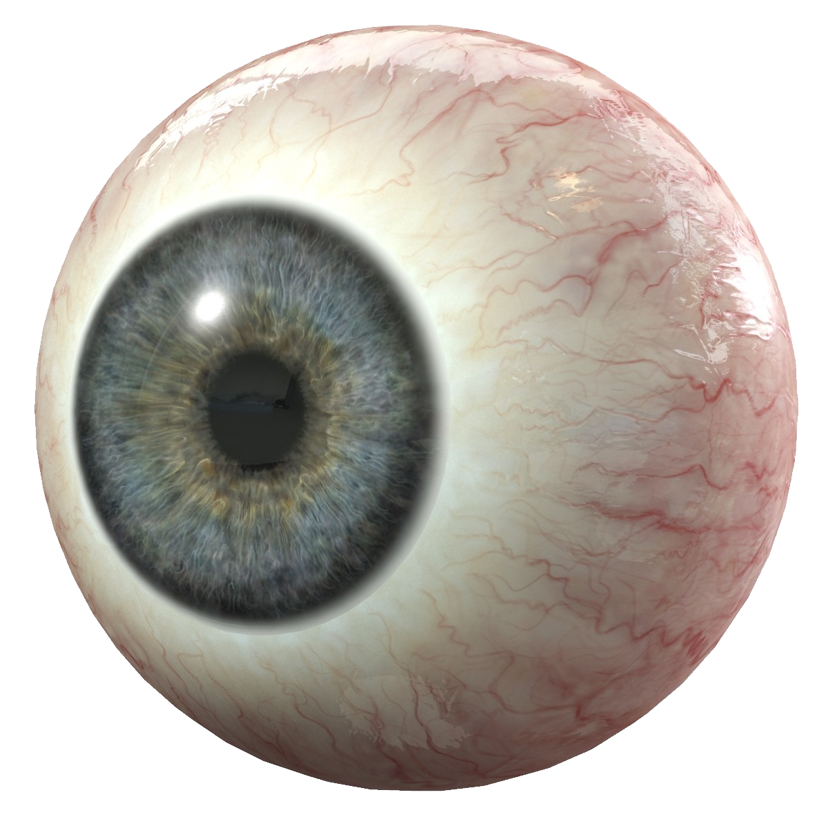 scary-eye-png-transparent-creepy-eyeball-png-clipart-large-size-png