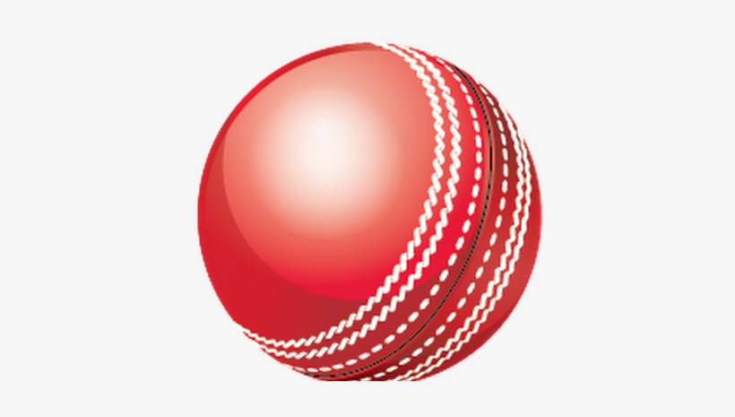 Kookaburra Cricket Ball.