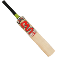 Download Cricket Free PNG photo images and clipart.