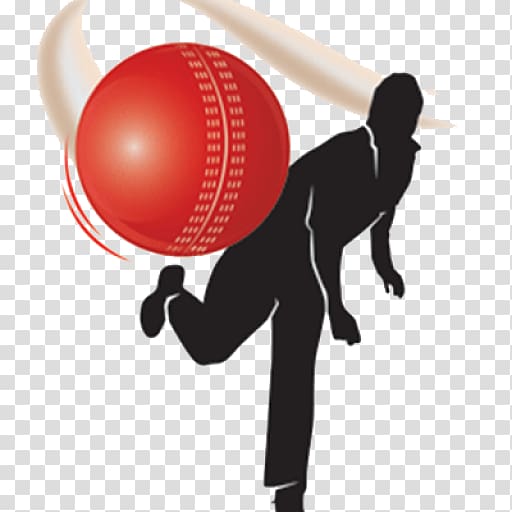 Indian Premier League Bowling (cricket) Cricket Balls Sport.