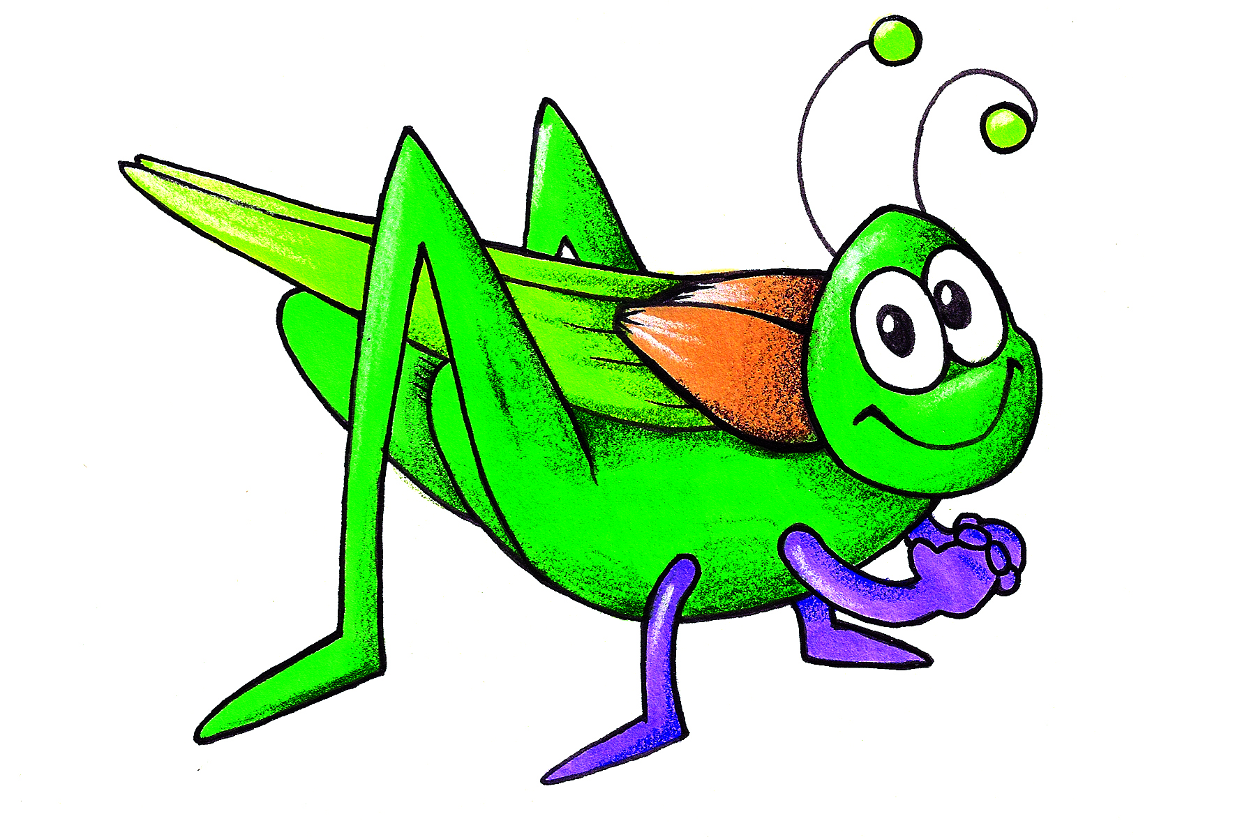 Cricket Insect Clipart.