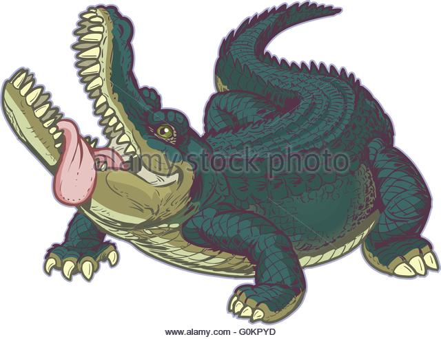 Alligator With Open Mouth Stock Photos & Alligator With Open Mouth.