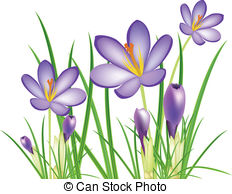 Crocus Clipart and Stock Illustrations. 1,466 Crocus vector EPS.