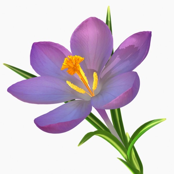 clipart-crocus-10-free-cliparts-download-images-on-clipground-2023