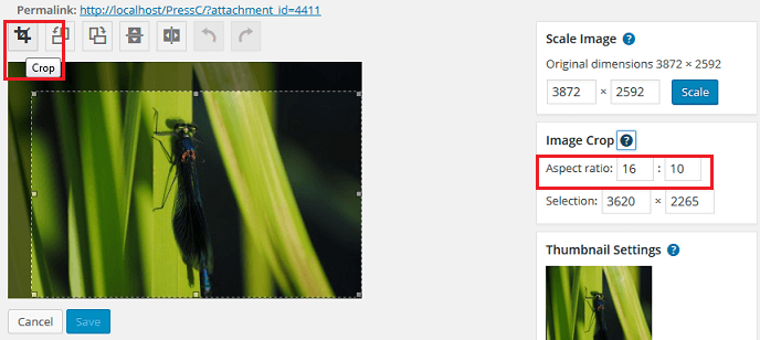 How to edit an image in WordPress : crop, resize, flip, rotate.