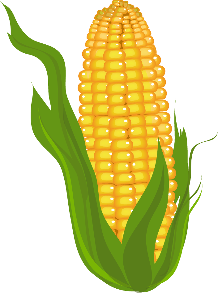 Crops clipart roasted corn, Crops roasted corn Transparent.