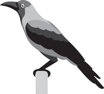 Crow Bird Cliparts Free Download Clip Art.