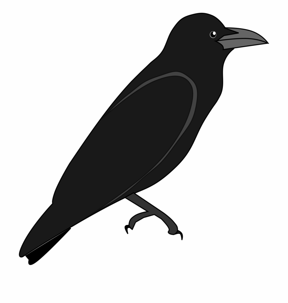 crow outline clip art 20 free Cliparts Download images on Clipground 2023