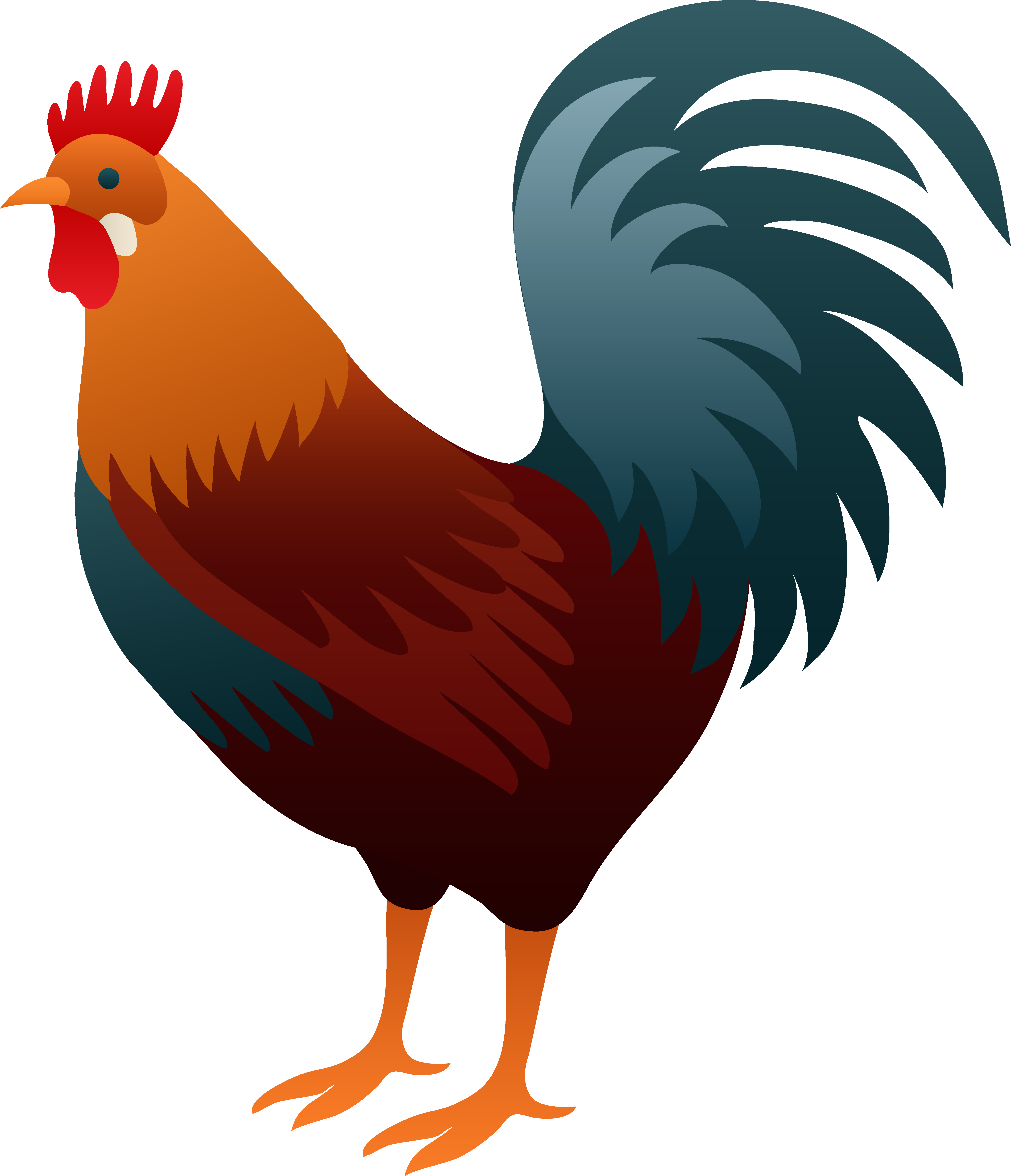 Crowing Rooster Clip Art.