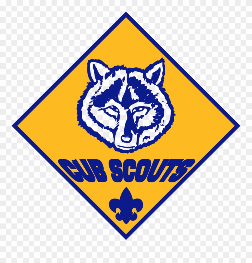 Cub Scouts And Boy Scouts Programs.