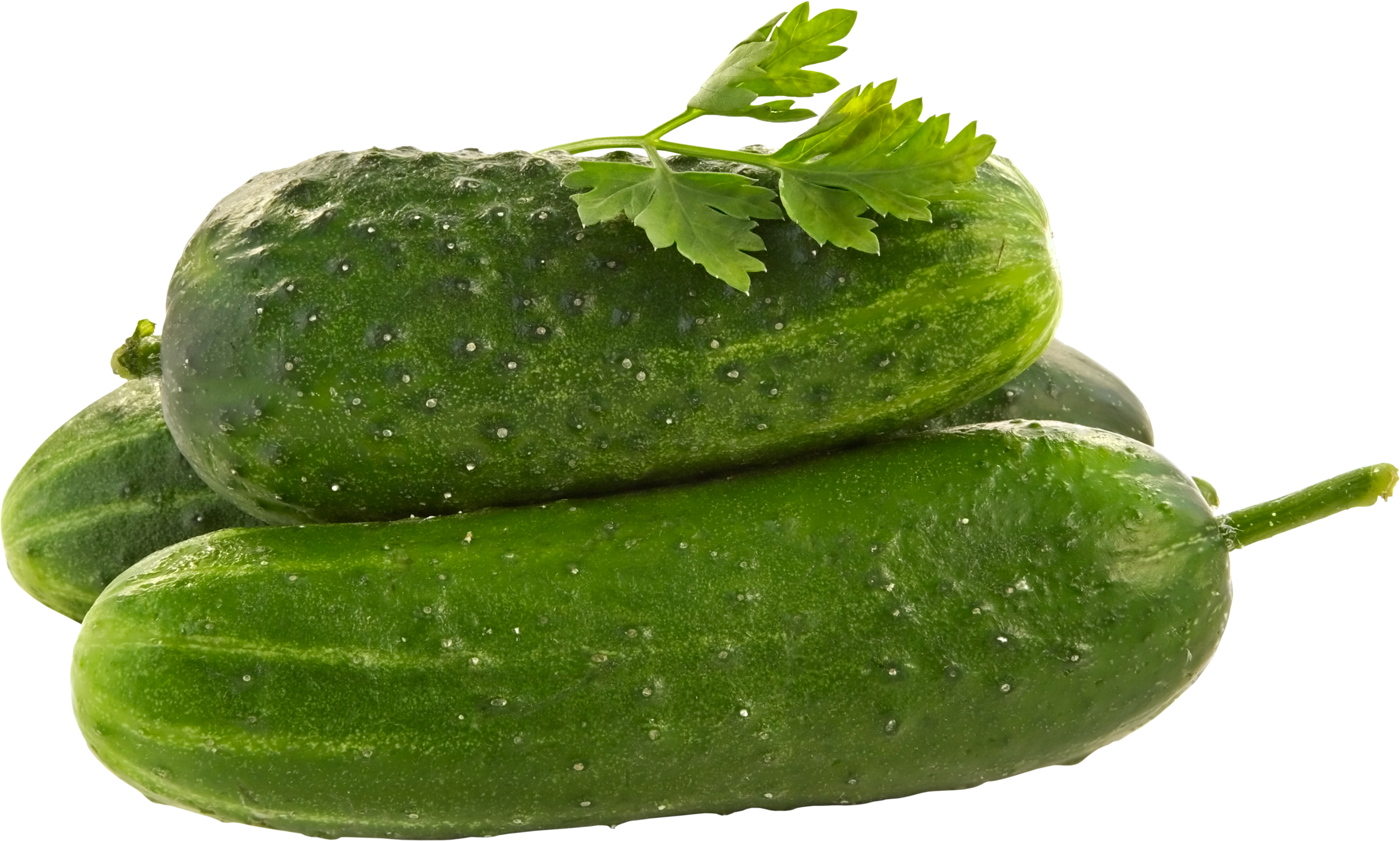 Cucumber PNG images free download.