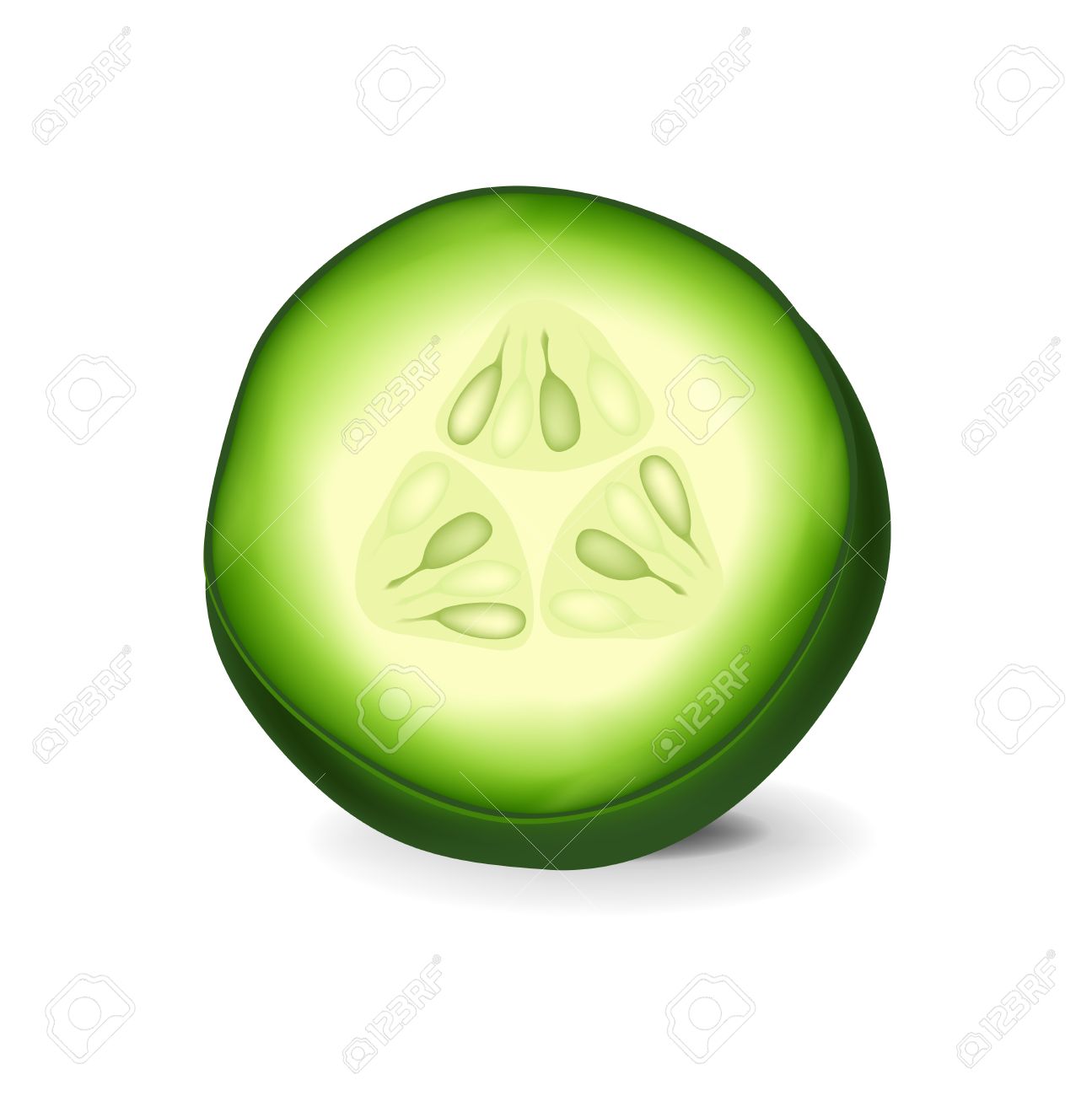 cucumber slice clip art 20 free Cliparts | Download images on