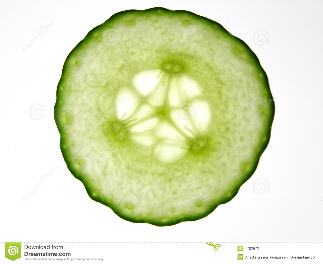 Cucumber Slice Stock Photos, Images, & Pictures.