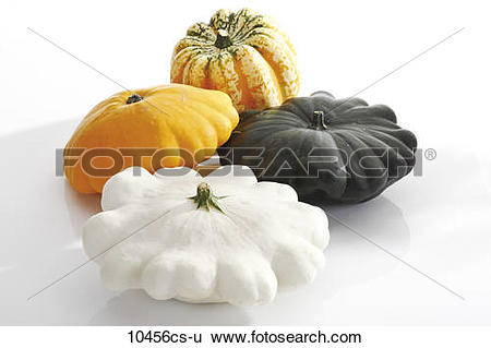 Stock Images of Pumpkin Gorgonzola (Cucurbita pepo) and Pattypan.