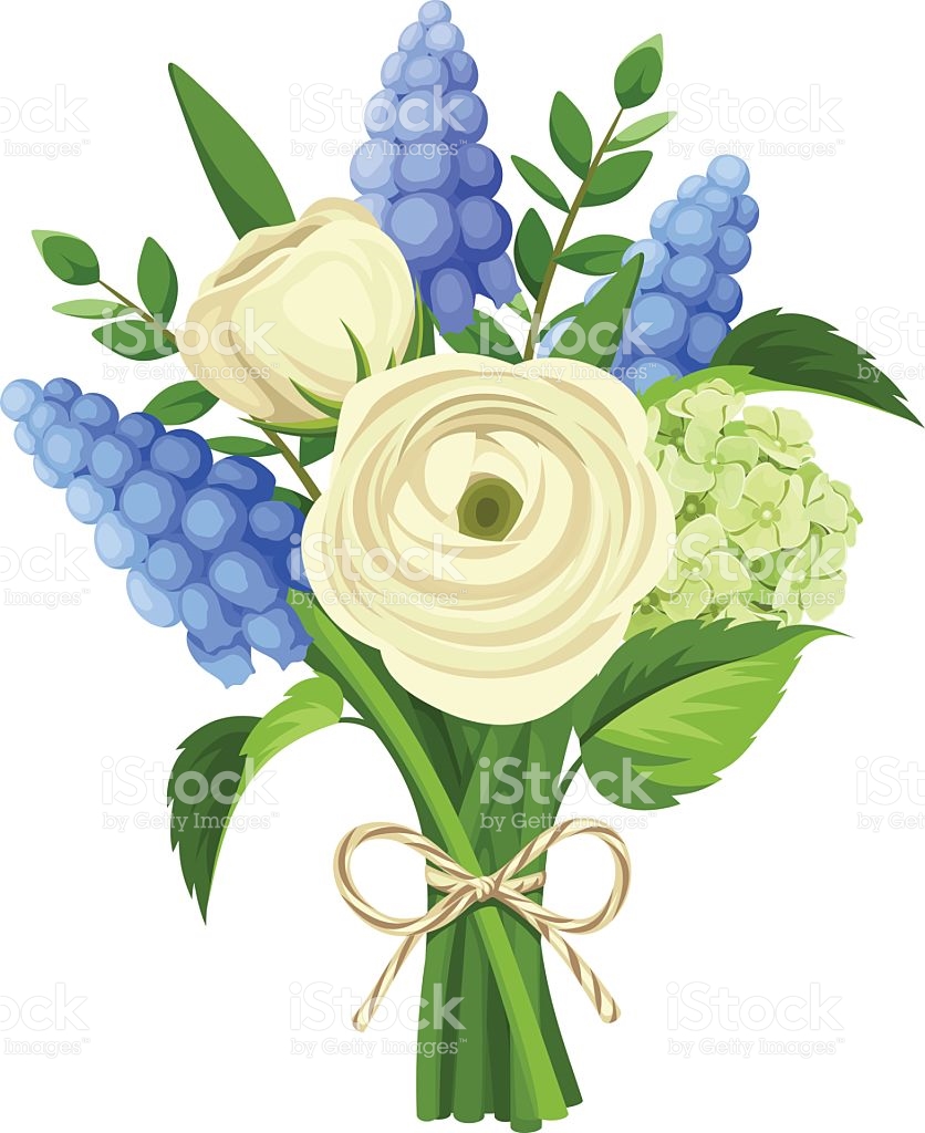 Bouquet Of White Ranunculus And Blue Grape Hyacinth Flowers Vector.
