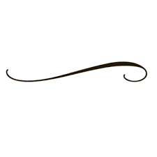 curly lines png 20 free Cliparts | Download images on Clipground 2023
