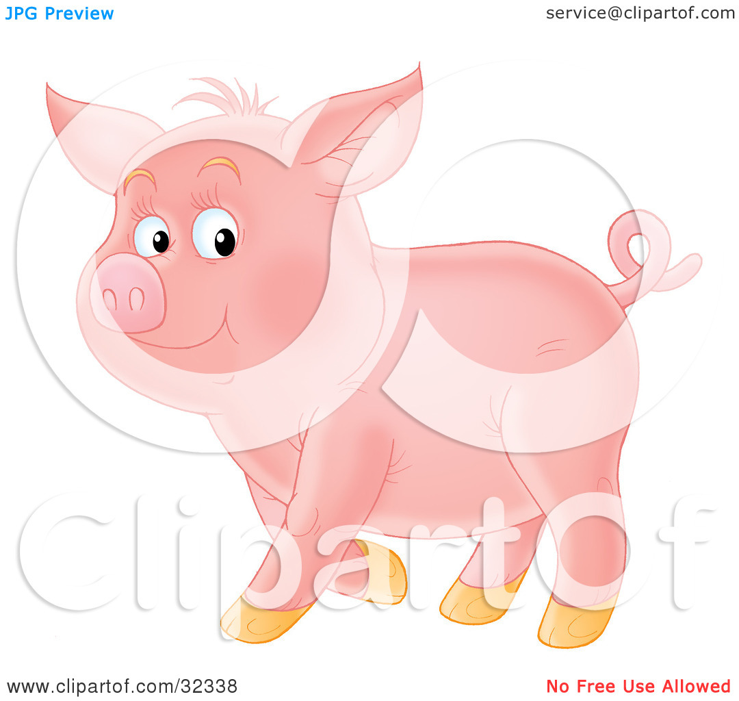 Clipart Illustration of a Proud, Curly Tailed Pink Pig, Standing.