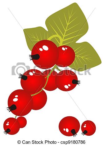 Red currant Clip Art and Stock Illustrations. 894 Red currant EPS.