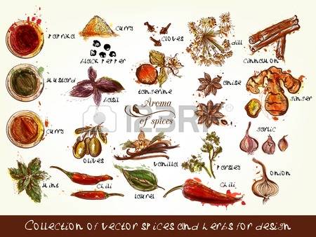 1,365 Curry Cliparts, Stock Vector And Royalty Free Curry.