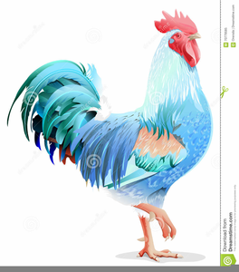 Clipart Of Roosters.