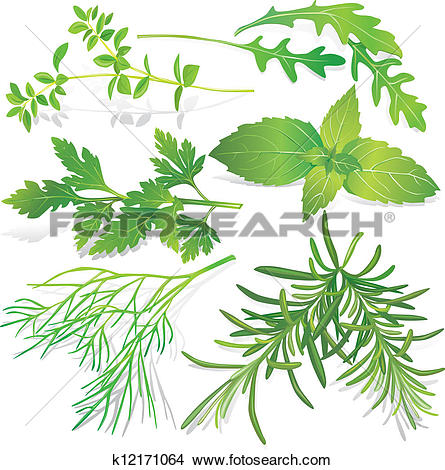 Clipart of Green meadow herbs silhouettes with k6575682.