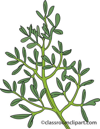 Herb 20clipart.