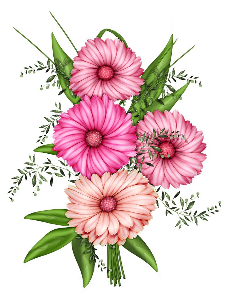 1000+ images about Flower clipart on Pinterest.