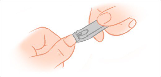 Cartoon Finger Nail Clip Art - wide 7