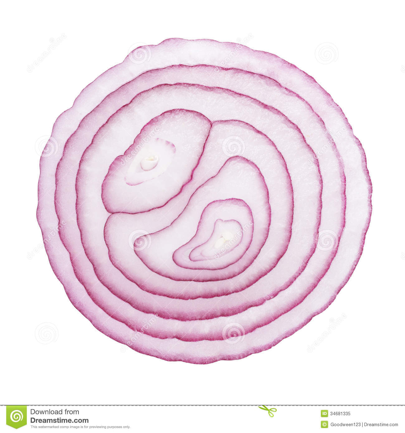 Cut onion clipart 20 free Cliparts Download images on Clipground 2024