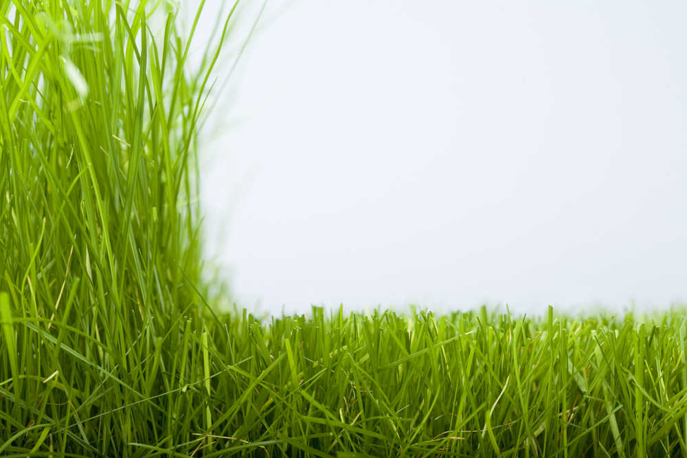 Free Cutting Grass Cliparts, Download Free Clip Art, Free.