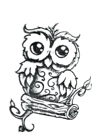 Drawings Of Owls In Black And White.