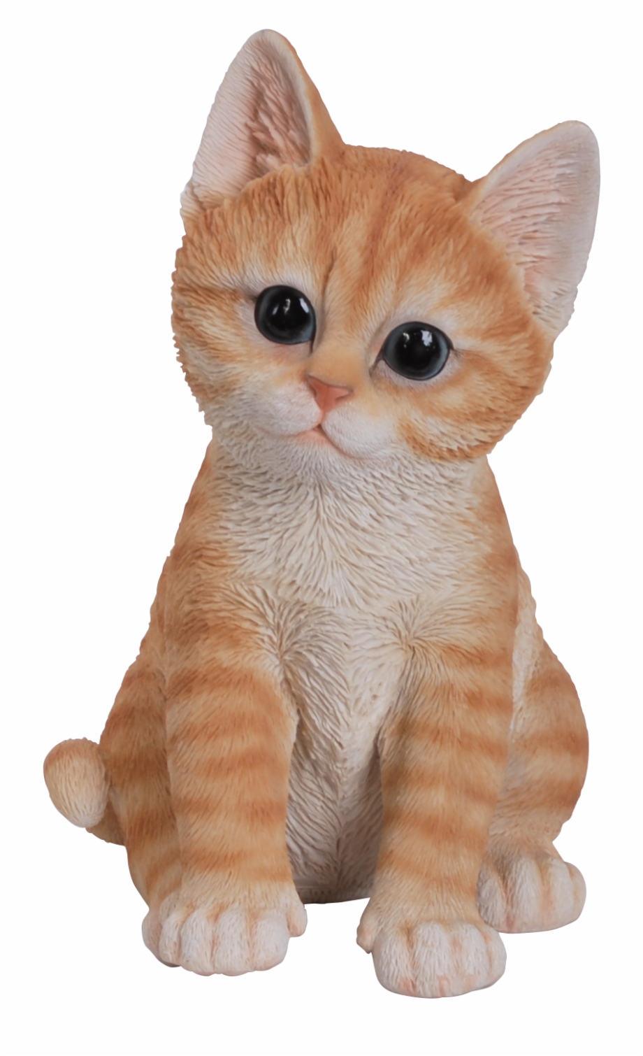 Cute Cats Png.