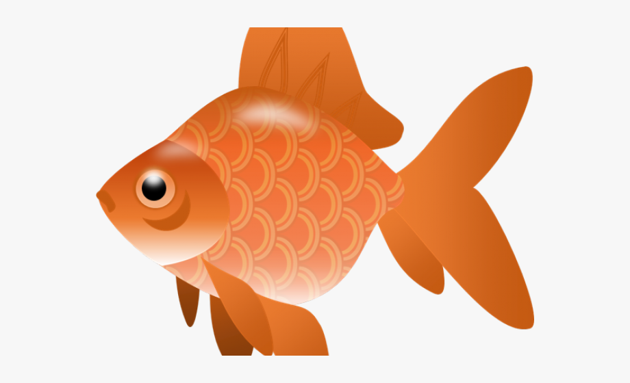 Goldfish Clipart Blank Fish.