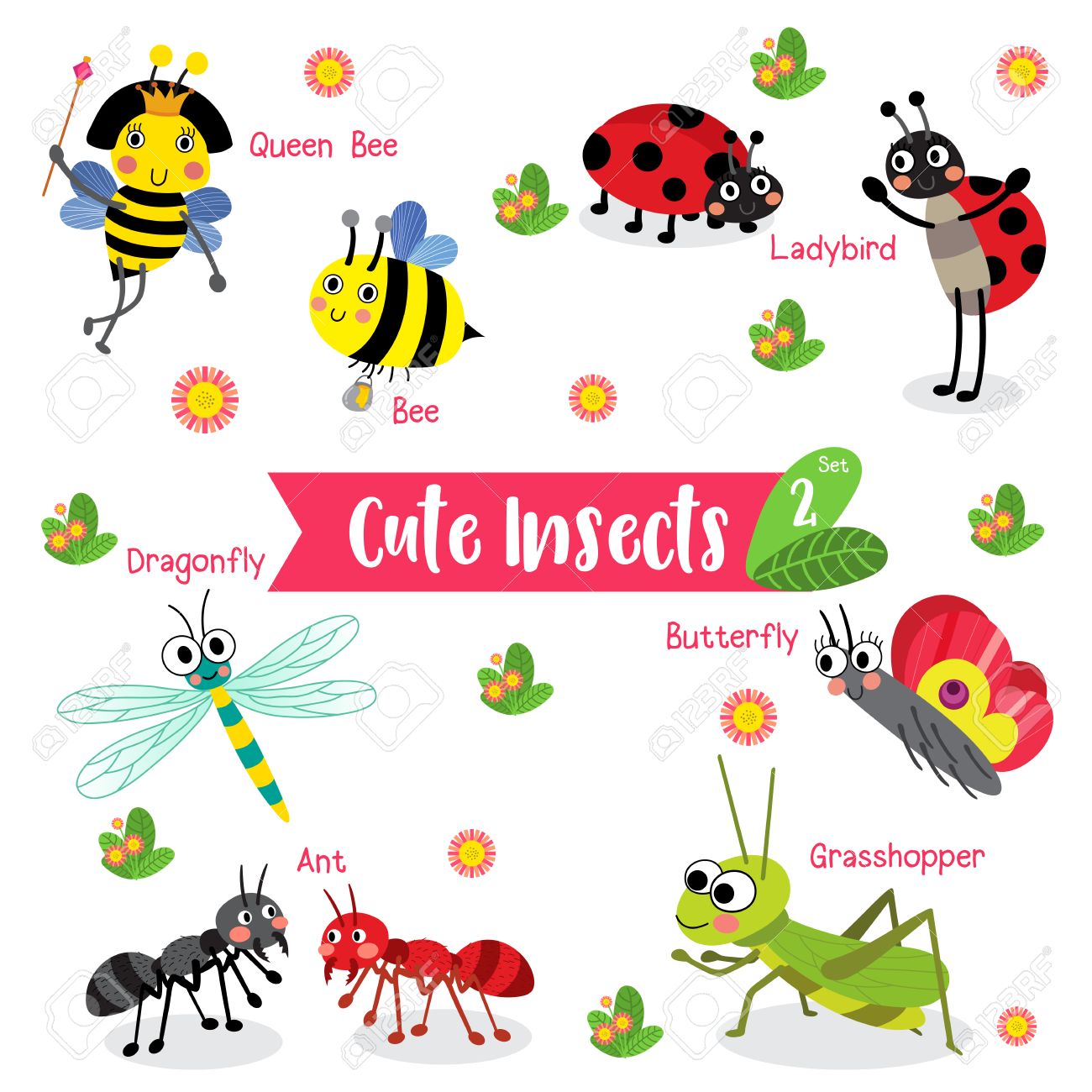 Cute Insects Animal cartoon on white background with animal name.