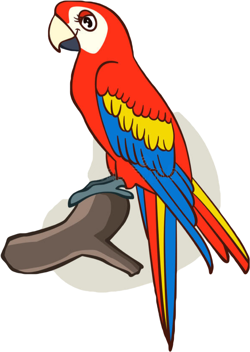 cute parrot clipart 20 free Cliparts | Download images on Clipground 2024