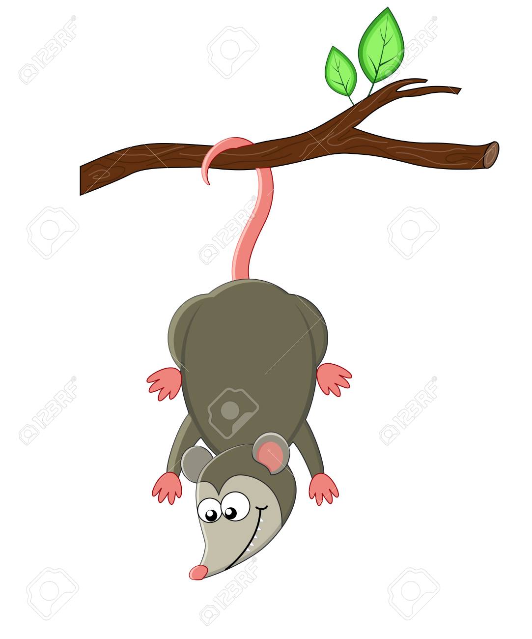 cute possum clipart 20 free Cliparts | Download images on Clipground 2021