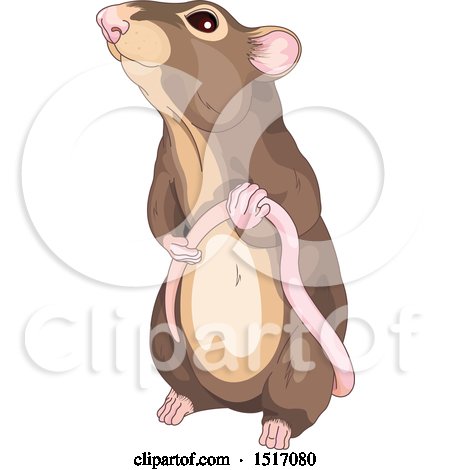 Clipart of a Cute Brown Rat Holding His Tail.