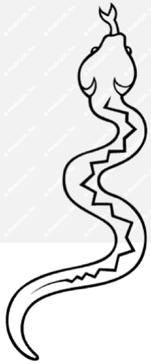 Snake Cartoon Black And White : Cartoon snake stock illustration