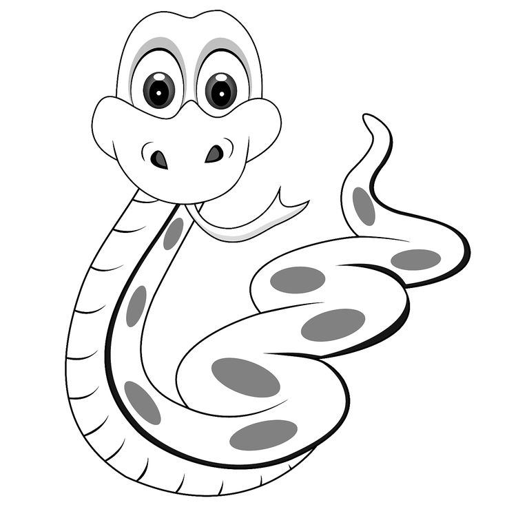 cute snake clipart black and white 20 free Cliparts | Download images