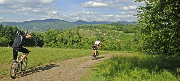 The Enztal valley.