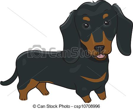 Dachshund Illustrations and Clipart. 1,723 Dachshund royalty free.