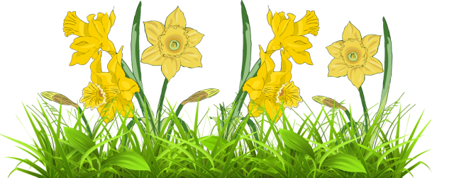 Daffodils Clip Art.